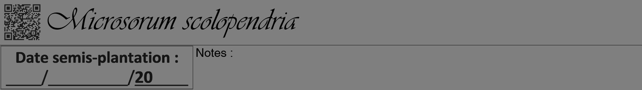 Étiquette de : Microsorum scolopendria - format a - style noire31viv avec qrcode et comestibilité