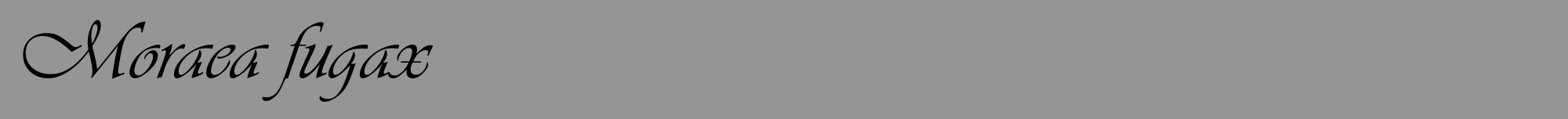 Étiquette de : Moraea fugax - format a - style noire16viv avec comestibilité