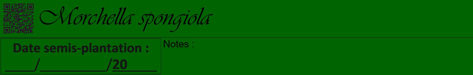 Étiquette de : Morchella spongiola - format a - style noire8basiqueviv avec qrcode et comestibilité