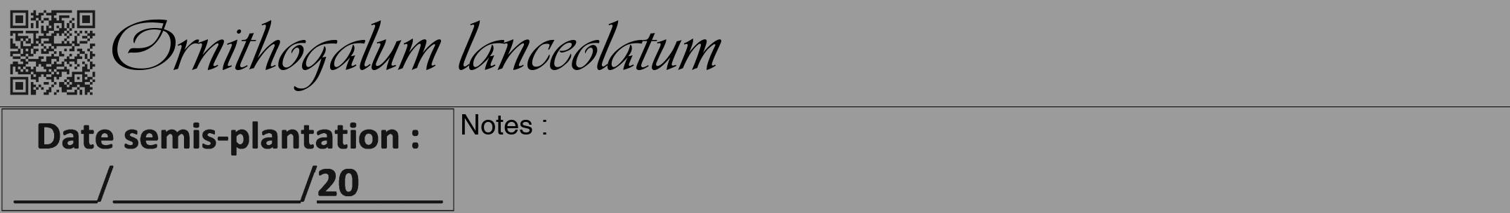 Étiquette de : Ornithogalum lanceolatum - format a - style noire52viv avec qrcode et comestibilité