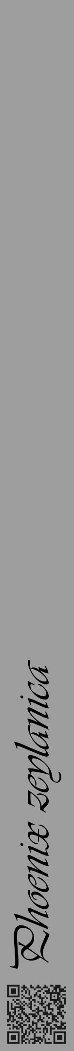 Étiquette de : Phoenix zeylanica - format a - style noire23viv avec qrcode et comestibilité - position verticale