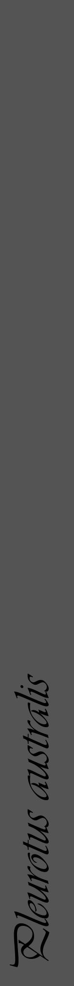 Étiquette de : Pleurotus australis - format a - style noire36viv avec comestibilité - position verticale