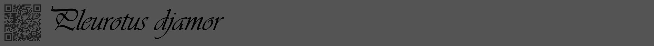 Étiquette de : Pleurotus djamor - format a - style noire30viv avec qrcode et comestibilité