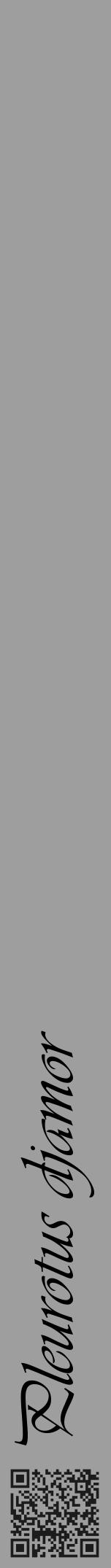 Étiquette de : Pleurotus djamor - format a - style noire23viv avec qrcode et comestibilité - position verticale