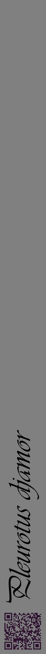 Étiquette de : Pleurotus djamor - format a - style noire57viv avec qrcode et comestibilité