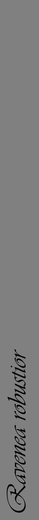Étiquette de : Ravenea robustior - format a - style noire57viv avec comestibilité