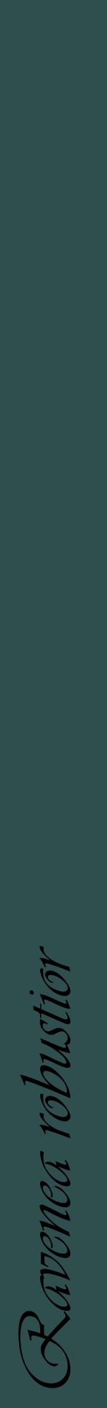 Étiquette de : Ravenea robustior - format a - style noire58viv avec comestibilité