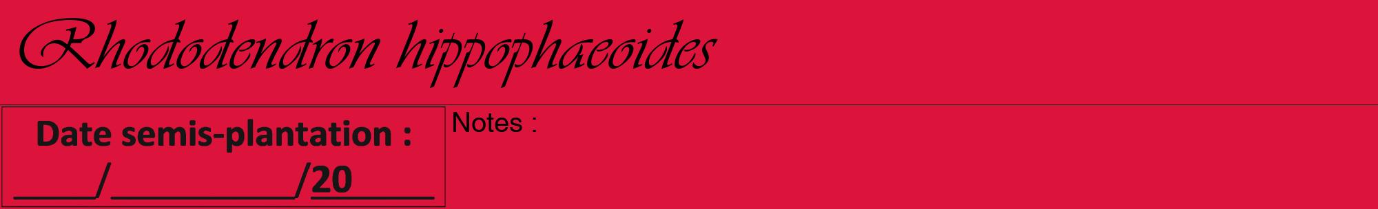 Étiquette de : Rhododendron hippophaeoides - format a - style noire36viv avec comestibilité