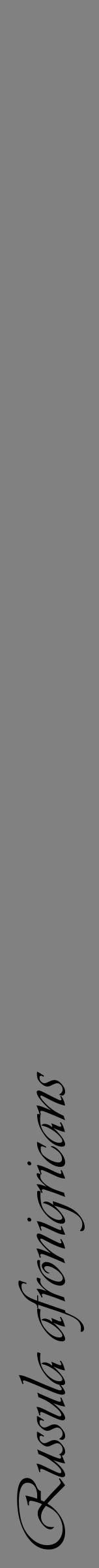 Étiquette de : Russula afronigricans - format a - style noire50simpleviv avec comestibilité - position verticale