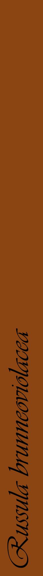 Étiquette de : Russula brunneoviolacea - format a - style noire30viv avec comestibilité