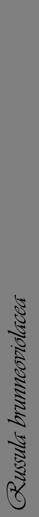 Étiquette de : Russula brunneoviolacea - format a - style noire57viv avec comestibilité