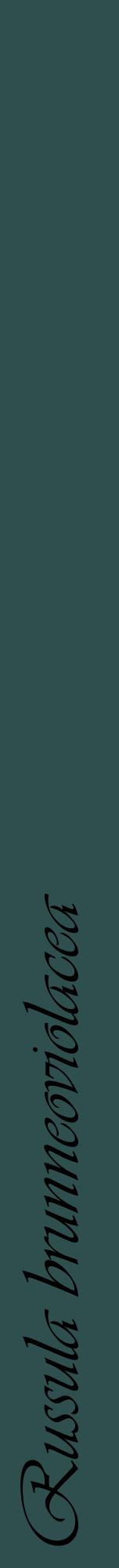 Étiquette de : Russula brunneoviolacea - format a - style noire58viv avec comestibilité