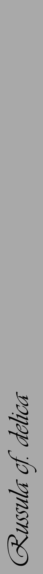 Étiquette de : Russula cf. delica - format a - style noire13viv avec comestibilité - position verticale