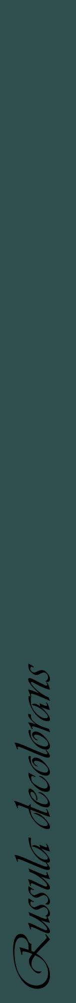 Étiquette de : Russula decolorans - format a - style noire58viv avec comestibilité