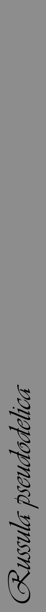 Étiquette de : Russula pseudodelica - format a - style noire2viv avec comestibilité - position verticale