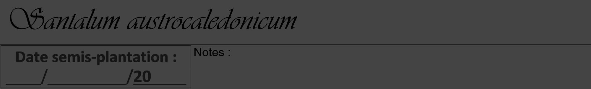 Étiquette de : Santalum austrocaledonicum - format a - style noire48viv avec comestibilité