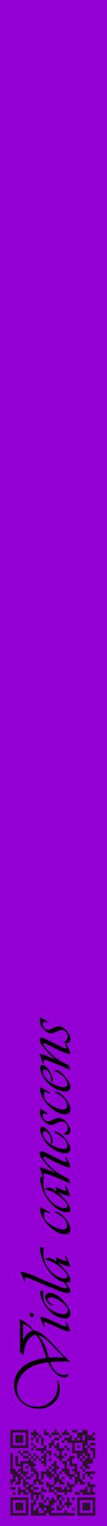 Étiquette de : Viola canescens - format a - style noire48viv avec qrcode et comestibilité