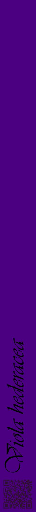 Étiquette de : Viola hederacea - format a - style noire47viv avec qrcode et comestibilité