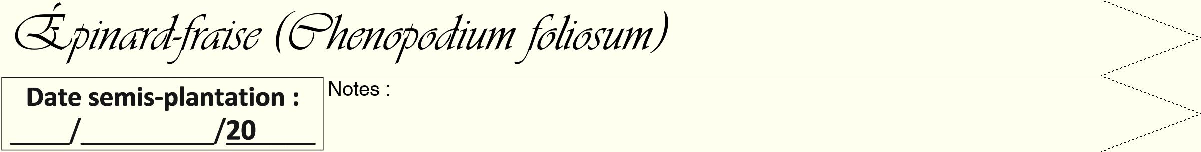 Étiquette de : Chenopodium foliosum - format b - style noire19viv avec comestibilité