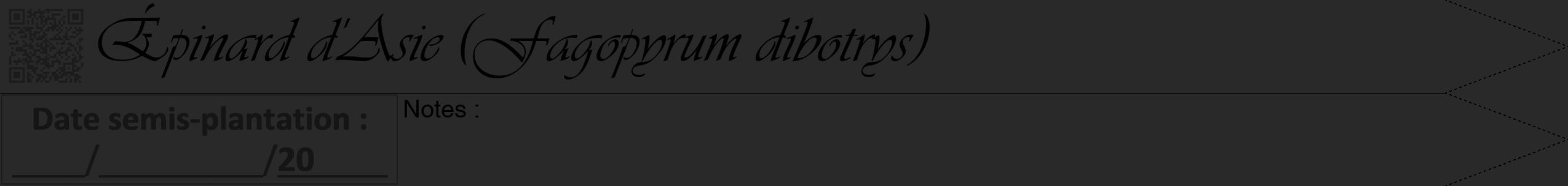 Étiquette de : Fagopyrum dibotrys - format b - style noire34viv avec qrcode et comestibilité