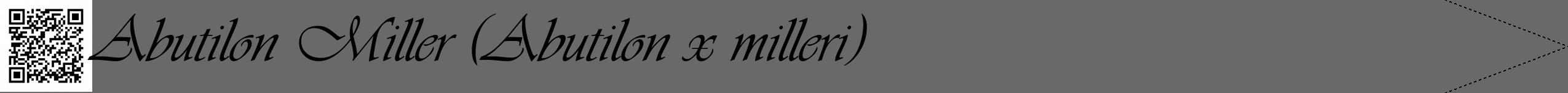 Étiquette de : Abutilon x milleri - format b - style noire11viv avec qrcode et comestibilité