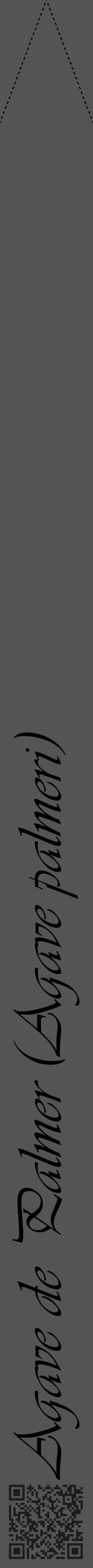 Étiquette de : Agave palmeri - format b - style noire36viv avec qrcode et comestibilité - position verticale