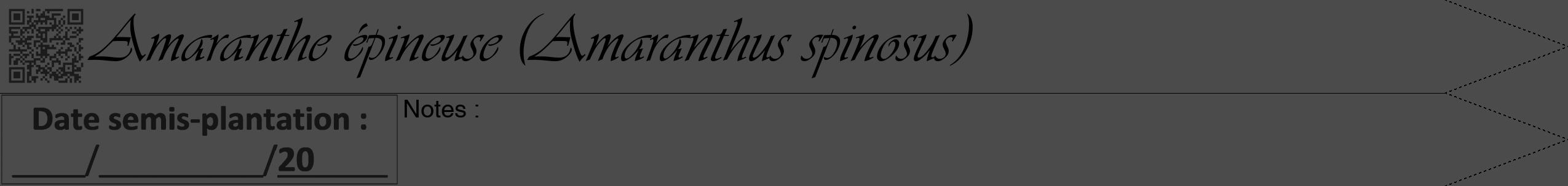 Étiquette de : Amaranthus spinosus - format b - style noire9viv avec qrcode et comestibilité
