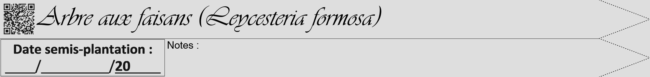 Étiquette de : Leycesteria formosa - format b - style noire20viv avec qrcode et comestibilité