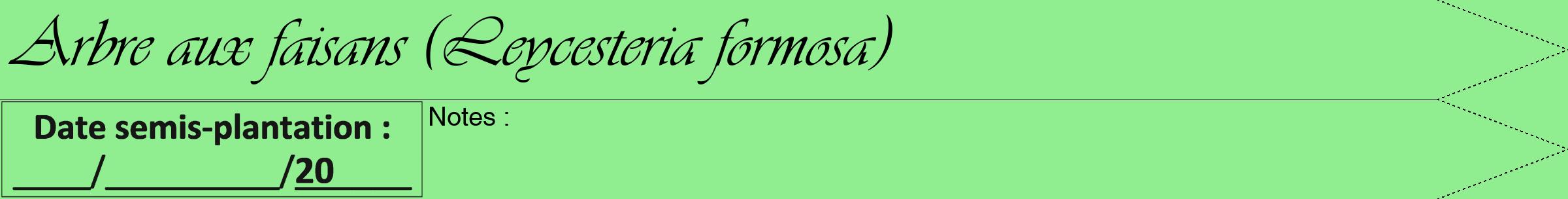 Étiquette de : Leycesteria formosa - format b - style noire15viv avec comestibilité