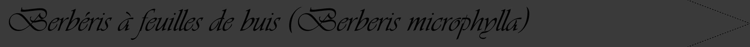 Étiquette de : Berberis microphylla - format b - style noire8viv avec comestibilité