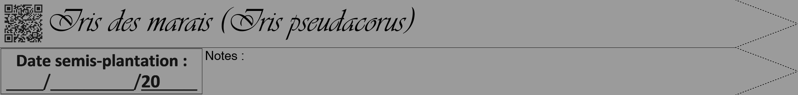 Étiquette de : Iris pseudacorus - format b - style noire52viv avec qrcode et comestibilité