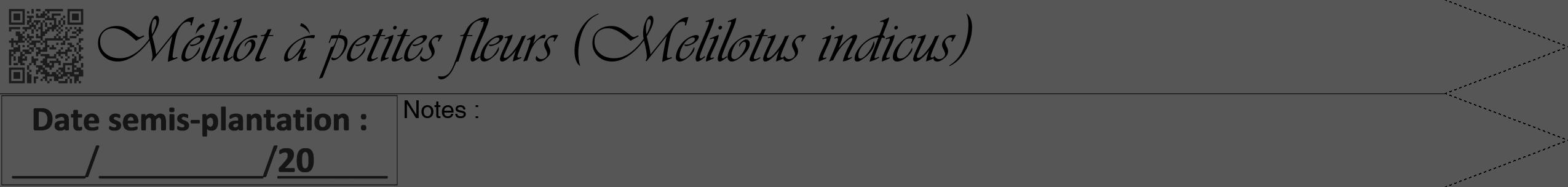 Étiquette de : Melilotus indicus - format b - style noire45viv avec qrcode et comestibilité