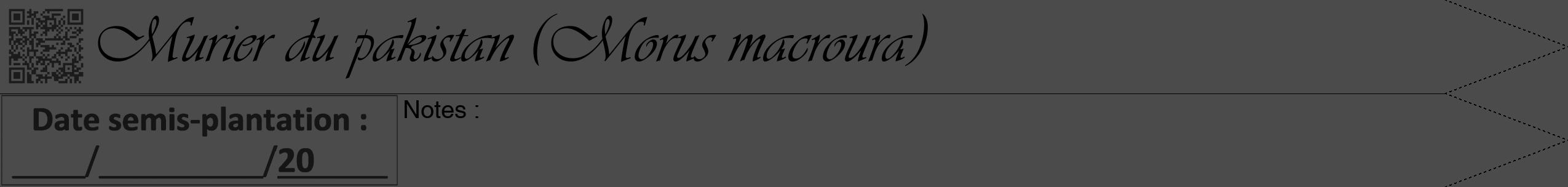 Étiquette de : Morus macroura - format b - style noire9viv avec qrcode et comestibilité