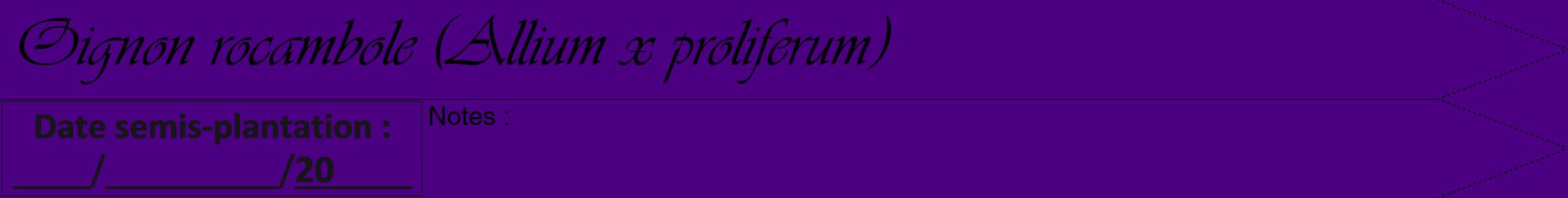 Étiquette de : Allium x proliferum - format b - style noire47viv avec comestibilité