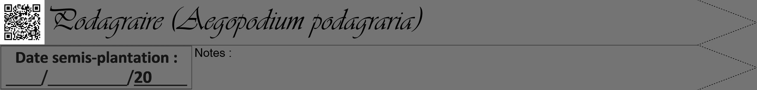 Étiquette de : Aegopodium podagraria - format b - style noire26viv avec qrcode et comestibilité