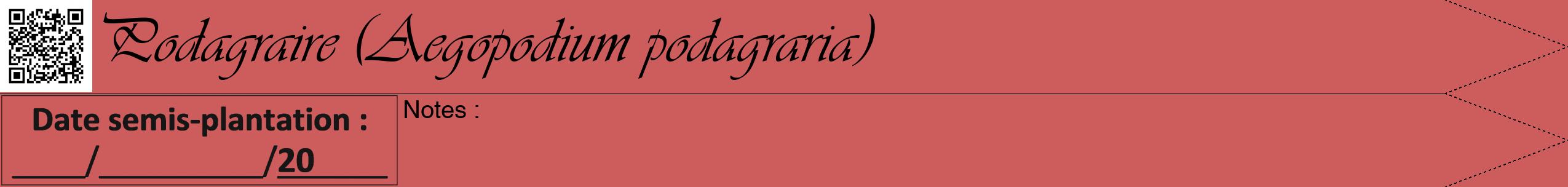 Étiquette de : Aegopodium podagraria - format b - style noire35viv avec qrcode et comestibilité