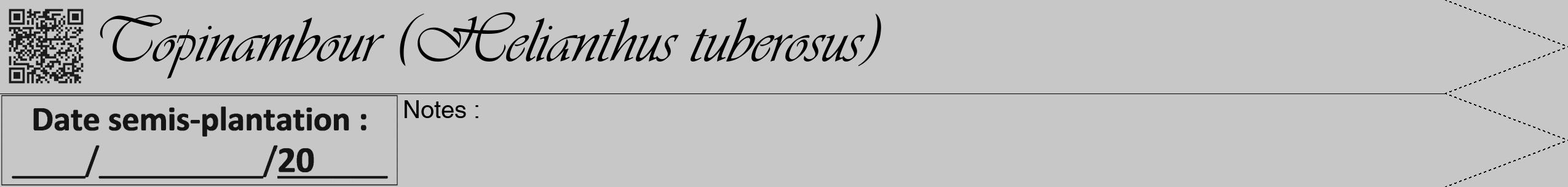 Étiquette de : Helianthus tuberosus - format b - style noire15viv avec qrcode et comestibilité