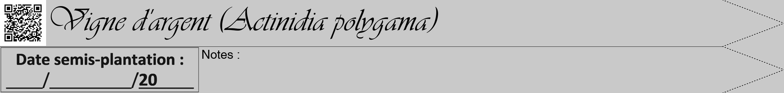 Étiquette de : Actinidia polygama - format b - style noire54viv avec qrcode et comestibilité