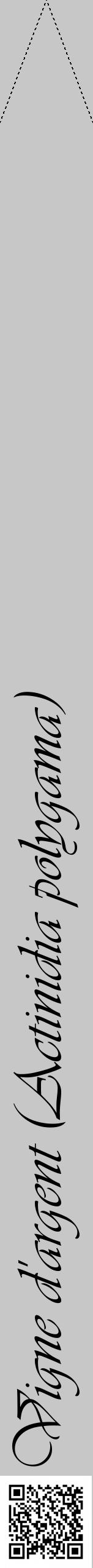 Étiquette de : Actinidia polygama - format b - style noire15viv avec qrcode et comestibilité - position verticale