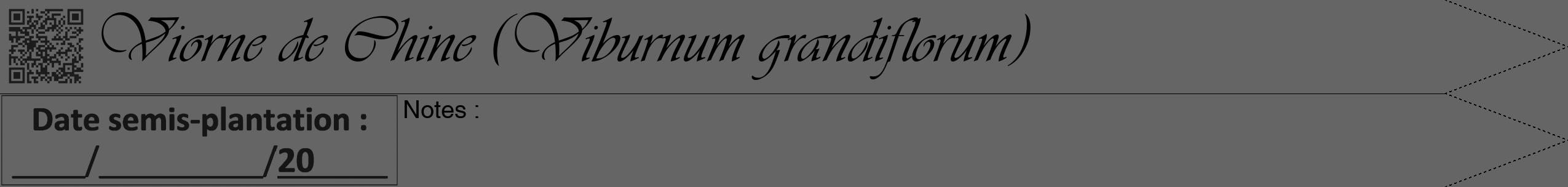 Étiquette de : Viburnum grandiflorum - format b - style noire32viv avec qrcode et comestibilité