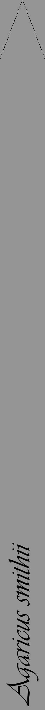 Étiquette de : Agaricus smithii - format b - style noire16viv avec comestibilité - position verticale