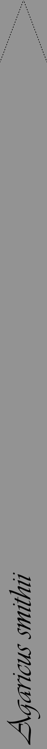 Étiquette de : Agaricus smithii - format b - style noire44viv avec comestibilité - position verticale
