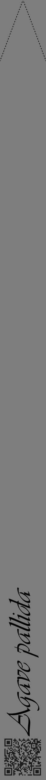 Étiquette de : Agave pallida - format b - style noire35viv avec qrcode et comestibilité - position verticale