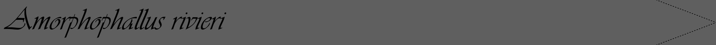 Étiquette de : Amorphophallus rivieri - format b - style noire10viv avec comestibilité