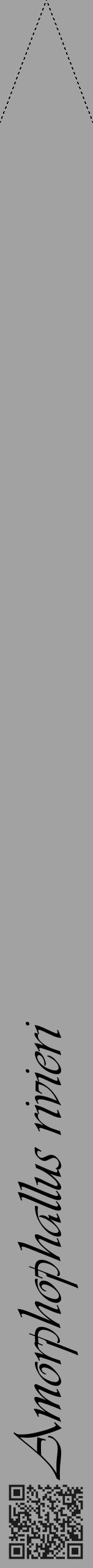 Étiquette de : Amorphophallus rivieri - format b - style noire38viv avec qrcode et comestibilité - position verticale