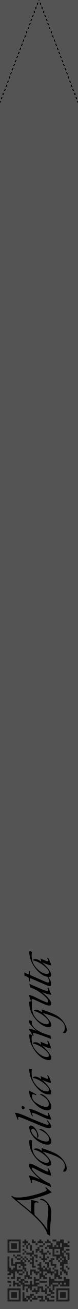 Étiquette de : Angelica arguta - format b - style noire36viv avec qrcode et comestibilité - position verticale