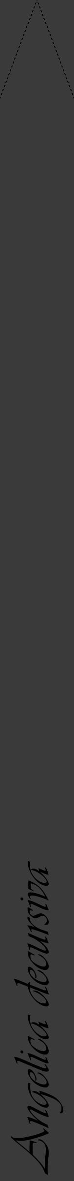 Étiquette de : Angelica decursiva - format b - style noire8viv avec comestibilité - position verticale