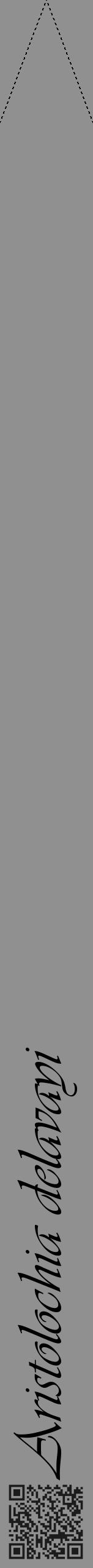 Étiquette de : Aristolochia delavayi - format b - style noire4viv avec qrcode et comestibilité - position verticale