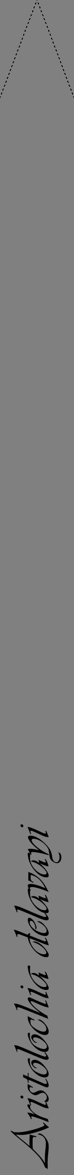 Étiquette de : Aristolochia delavayi - format b - style noire57viv avec comestibilité