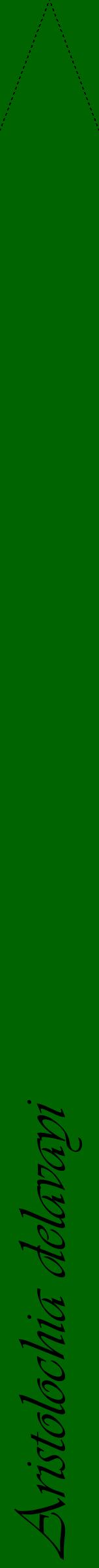 Étiquette de : Aristolochia delavayi - format b - style noire8viv avec comestibilité